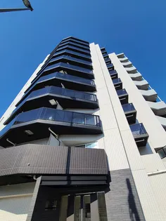 ディアレイシャス北千住の画像