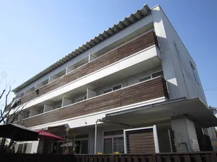 ステラ21の画像