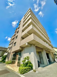 インペリアル鳳の画像