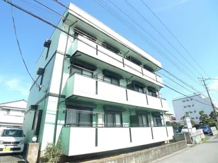ハイカムールNの画像