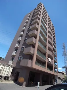 パラシオの画像