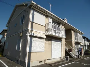 メイプルBの画像