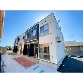 ブルースターの画像