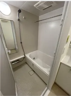 ルーチェヴィラ菊川【3階】の風呂