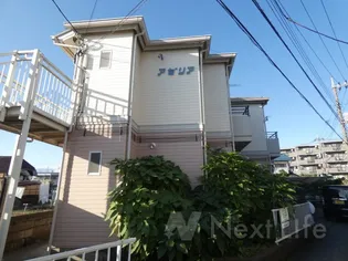 アゼリアの画像