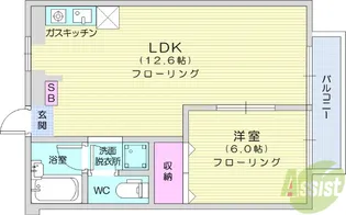 シティハイツ京【1階】の間取り
