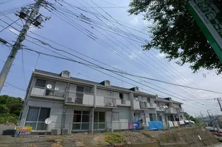 SHAMAISON エミネンスBの画像