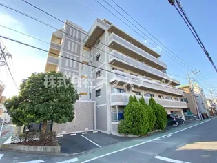 ステラ本厚木の画像