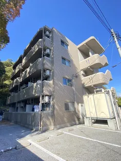 グリーンシャトリエIIの画像