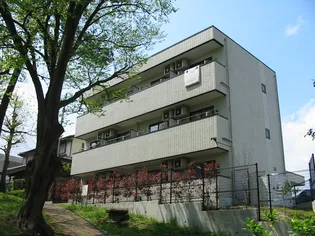 天台ヴューレジデンスの画像