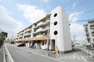 徳島県徳島市住吉3【マンション】の外観