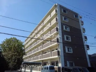 エルモソ ピソの画像