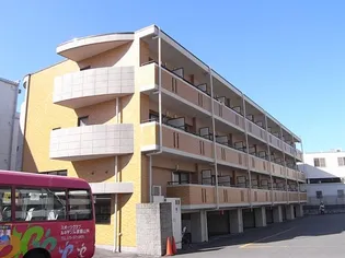 パレやましな佐わらびの画像