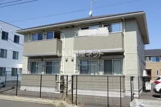 ファセリア Aの画像