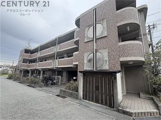 シャトーヌーヴォーの画像