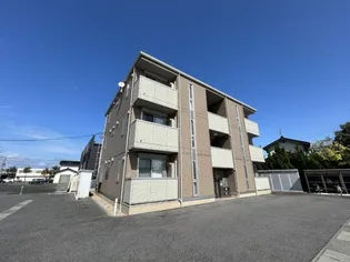 セジュールオッツTの画像