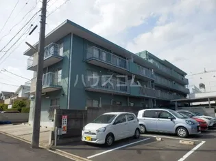 マイアみどりの画像