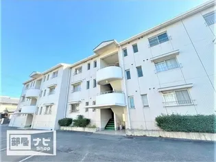 柳ハイツ【3階】の外観