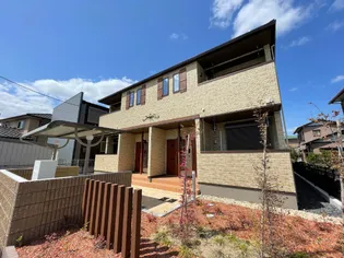 ローレルの画像