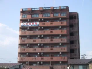 エバーグリーンの画像