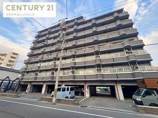 デュラールモリタの画像