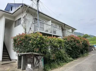 ブルールーフの画像