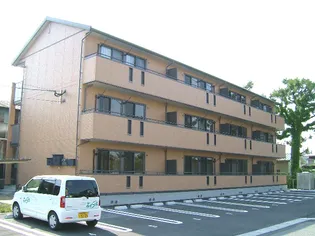 グランドゥール 杉の画像