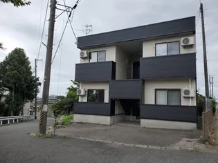 新潟県新潟市秋葉区程島【アパート】の外観
