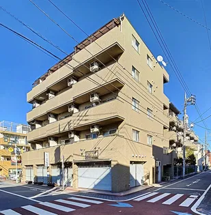 クリセントマムの画像