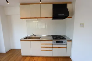 セレスティアル新居浜【5階】のキッチン