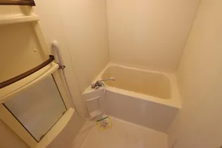 セレスティアル新居浜【5階】の風呂