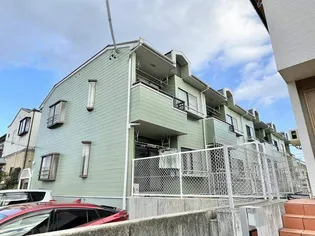 シャルム杉の画像