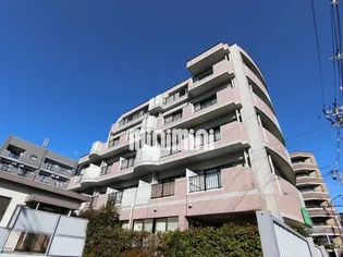 アネーロ泉中央の画像