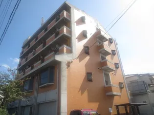 国際グランドハイツの画像