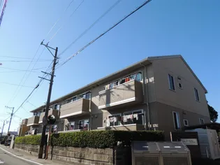 サーフスリィフォレスタの画像