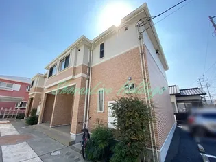 パインテールの画像