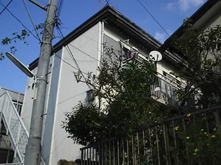 プルメリアの画像