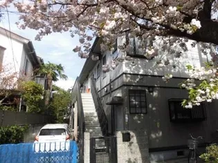 カルミアコーツの画像