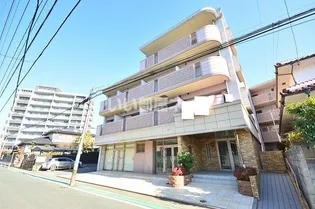 サンセール クミの画像