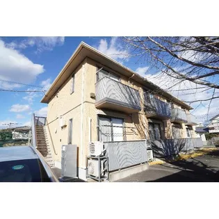 アルトピーノの画像