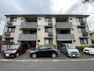 ロック21の画像