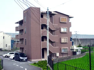 リトルジャーニーの画像