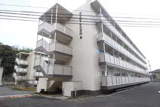 サンローレル宮内A棟【4階】の外観