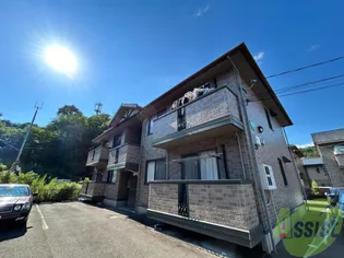 ウィルモアCの画像