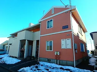 ホワイトペルテの画像