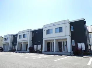 グラスオニオンの画像