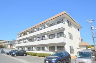 シティーオカヤマの画像