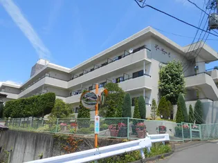 ル レーヴ アイの画像