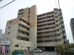 エヴァーグリーン新羽の画像