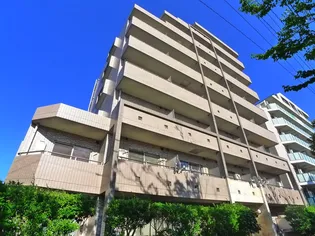 グッド フラットIIIの画像